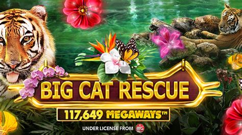 big cat rescue megaways slot